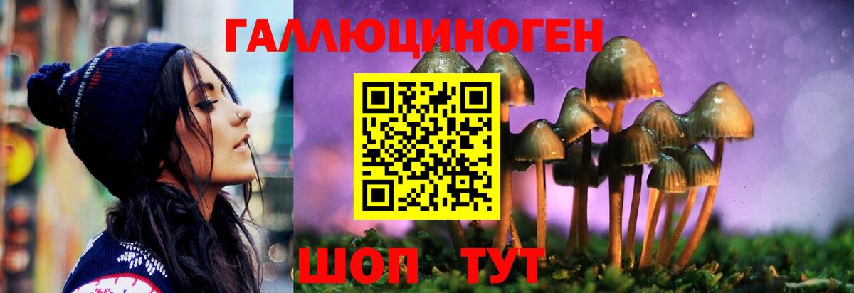 Псилоцибиновые грибы Psilocybe Тулун