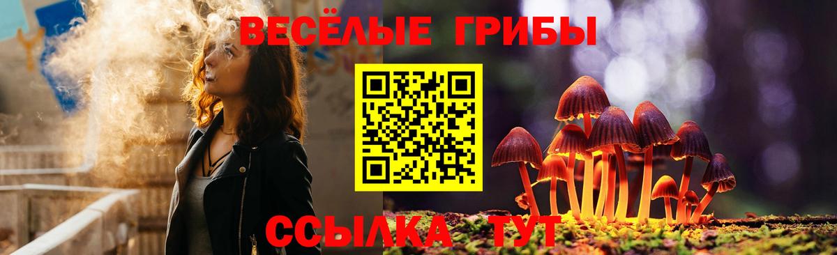 Галлюциногенные грибы Cubensis  Вход с VPN  Тулун 